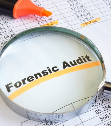 Forensic Audit
