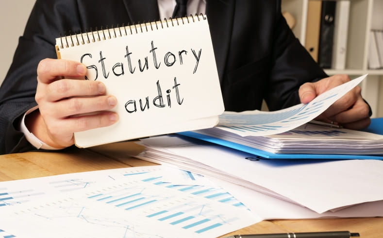 Statutory Audits