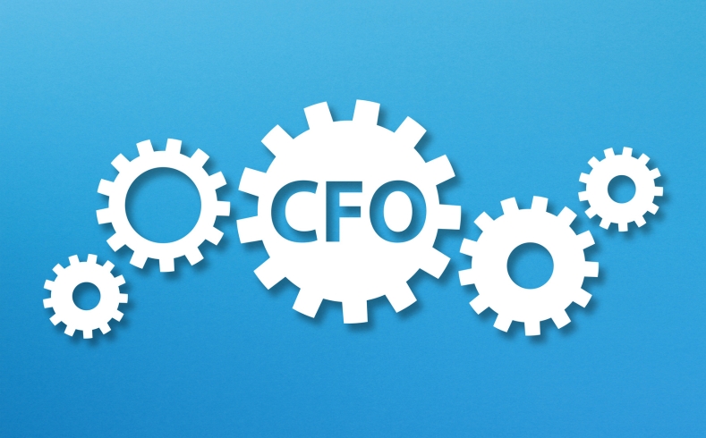 Virtual CFO