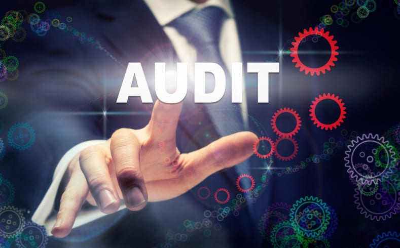 Stock Audit Services for Inventory Accuracy | Vidhu Duggal & Company