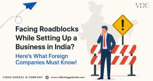 Facing Roadblocks While Setting Up a Business in India? Here’s What Foreign Companies Must Know!
